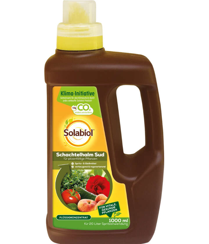 Solabiol Schachtelhalm Sud